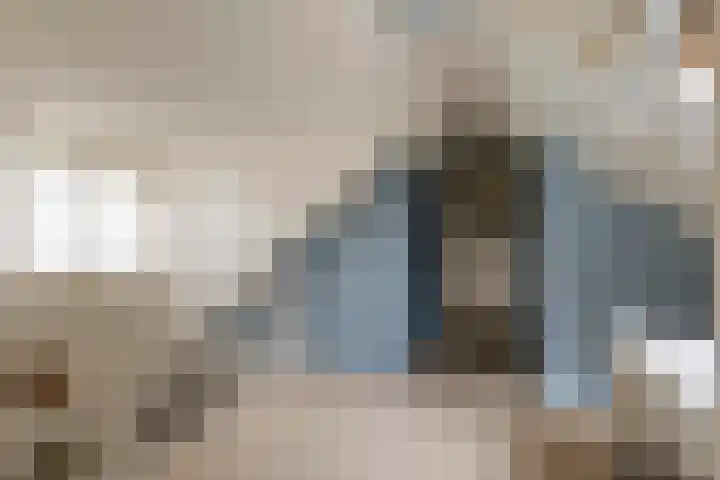Dreef 22 Est thumbnail 29