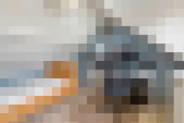 Dreef 22 Est thumbnail 33