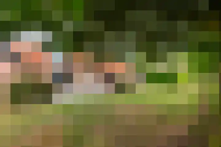Dreef 22 Est thumbnail 35