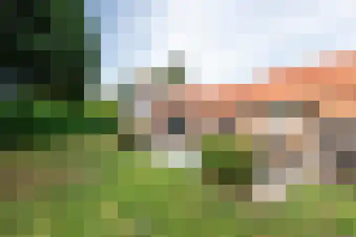 Dreef 22 Est thumbnail 36