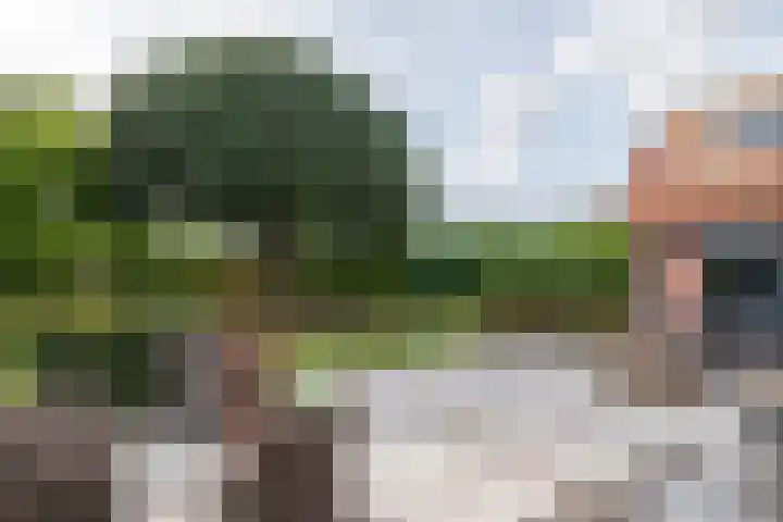 Dreef 22 Est thumbnail 39