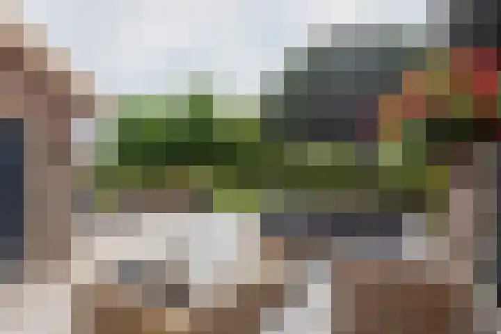 Dreef 22 Est thumbnail 40