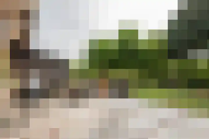 Dreef 22 Est thumbnail 41