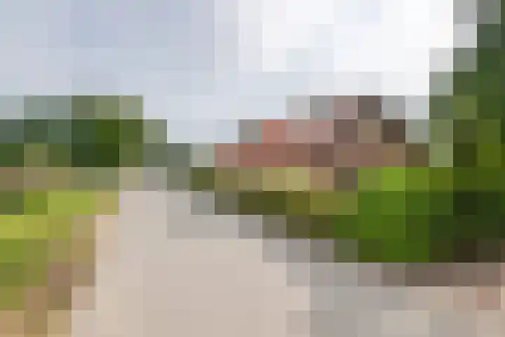 Dreef 22 Est thumbnail 43