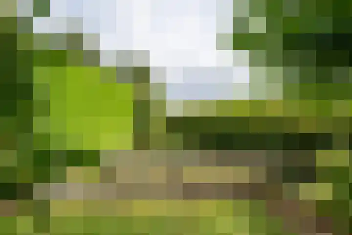 Dreef 22 Est thumbnail 44