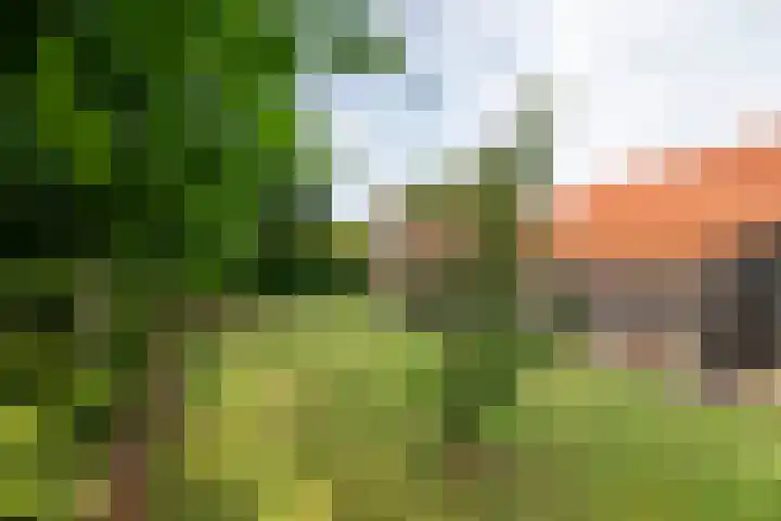 Dreef 22 Est thumbnail 45