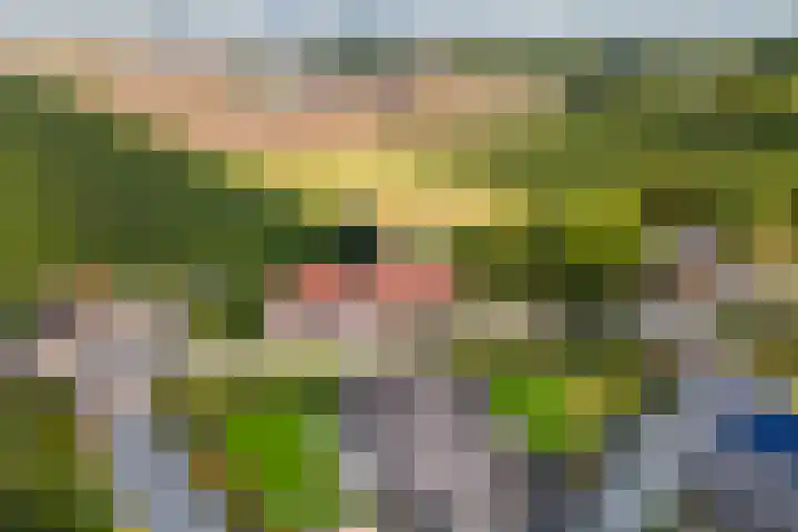 Dreef 22 Est thumbnail 46