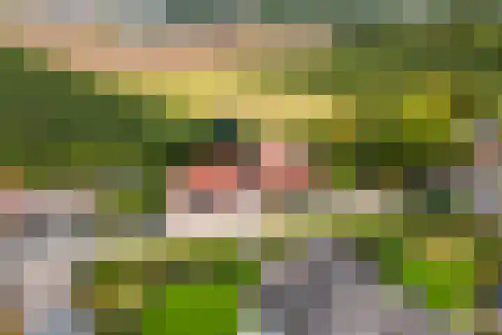 Dreef 22 Est thumbnail 47