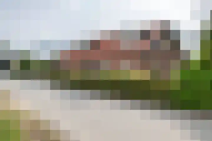 Dreef 22 Est thumbnail 48