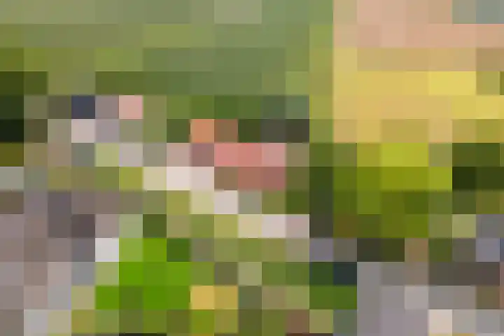Dreef 22 Est thumbnail 50