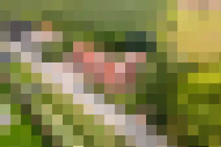 Dreef 22 Est thumbnail 51