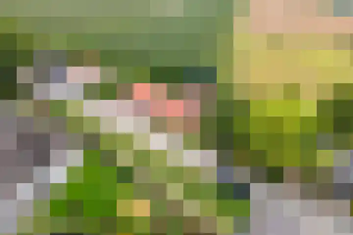 Dreef 22 Est thumbnail 53