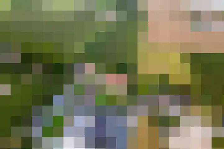 Dreef 22 Est thumbnail 54