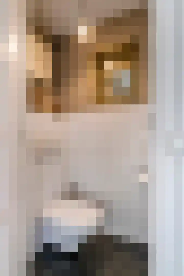 Dreef 22 Est thumbnail 6