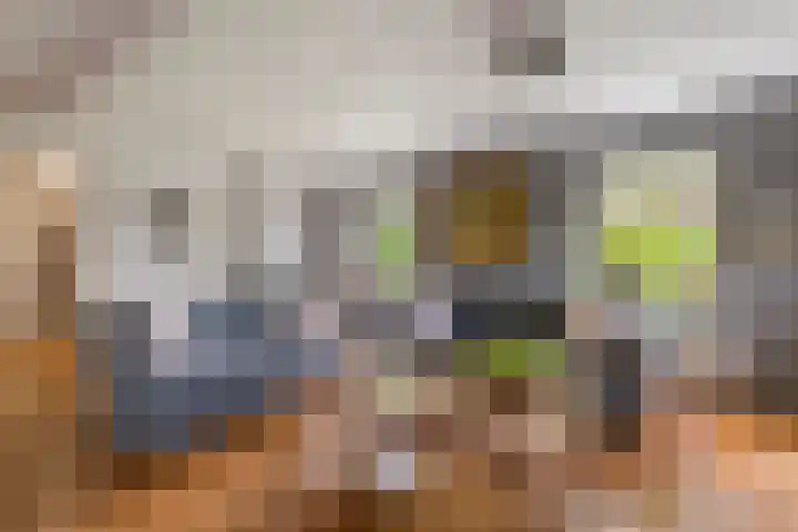 Dreef 22 Est thumbnail 8