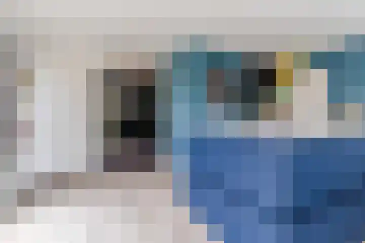 Dreef 23 Eersel thumbnail 19