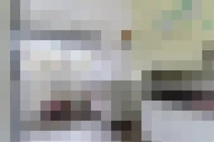 Dreef 23 Eersel thumbnail 28
