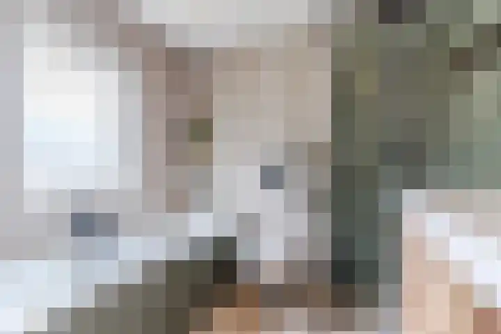 Dreef 23 Eersel thumbnail 30