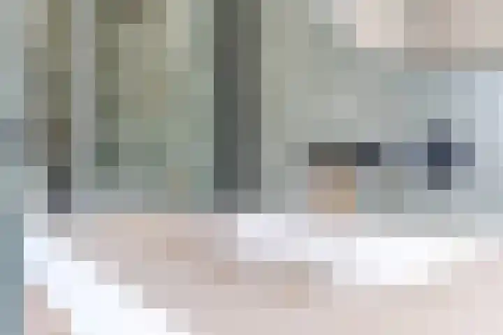 Dreef 23 Eersel thumbnail 33
