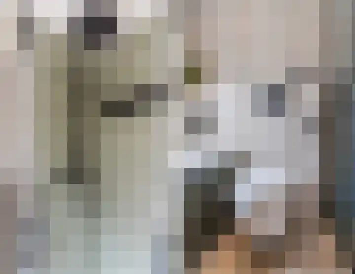 Dreef 23 Eersel thumbnail 34