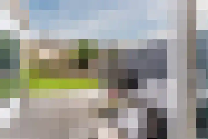 Dreef 23 Eersel thumbnail 41