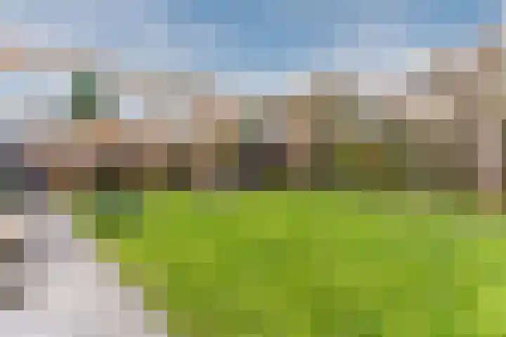 Dreef 23 Eersel thumbnail 43