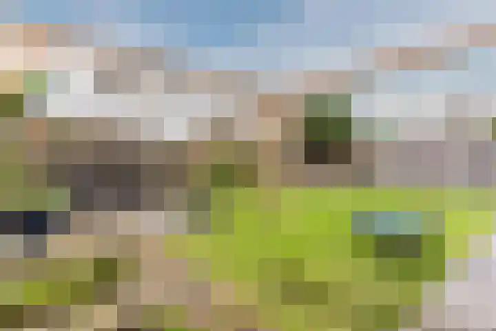 Dreef 23 Eersel thumbnail 44