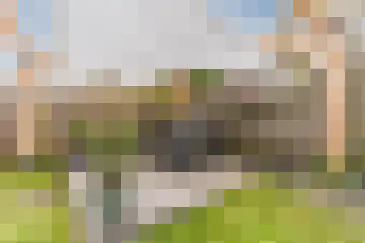 Dreef 23 Eersel thumbnail 45