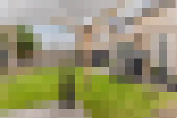 Dreef 23 Eersel thumbnail 46