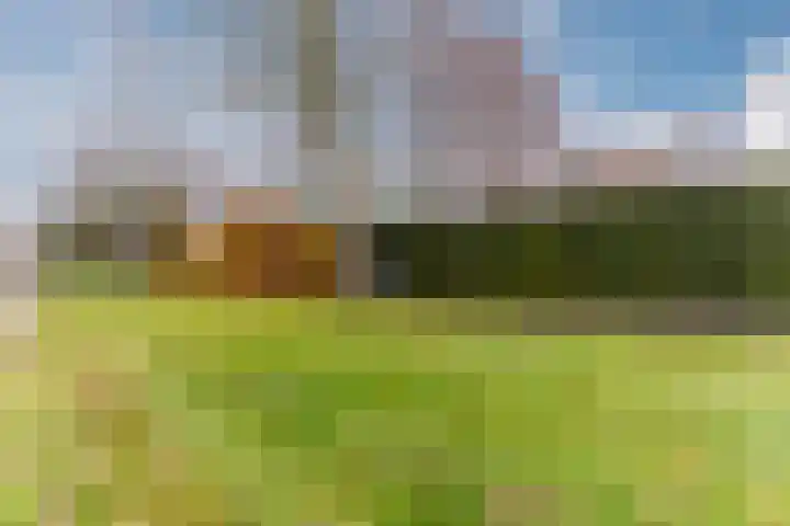 Dreef 23 Eersel thumbnail 47