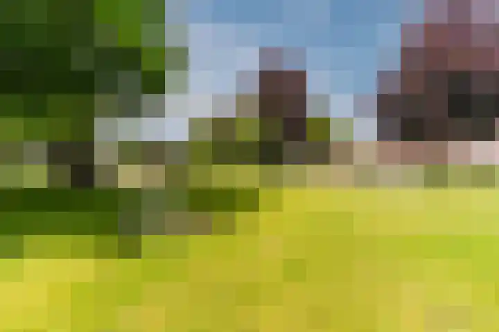 Dreef 23 Eersel thumbnail 48