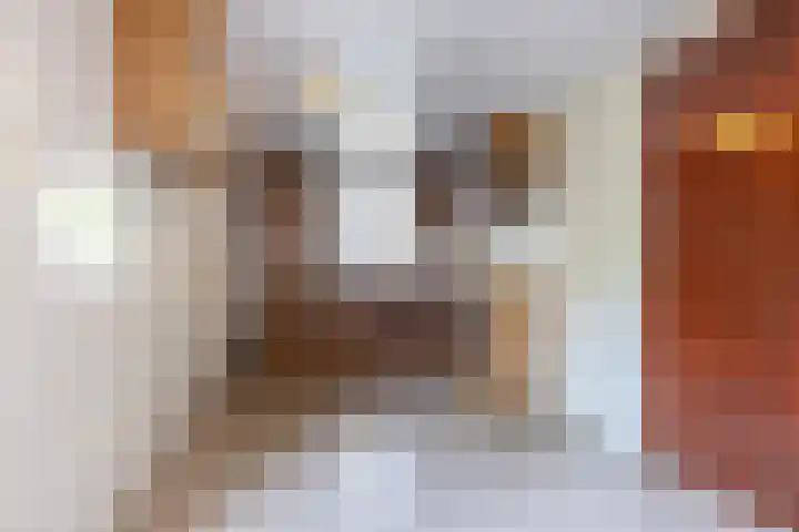 Dreef 25 Beverwijk thumbnail 13