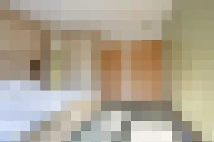 Dreef 25 Beverwijk thumbnail 16
