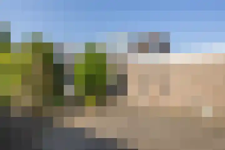 Dreef 25 Beverwijk thumbnail 20