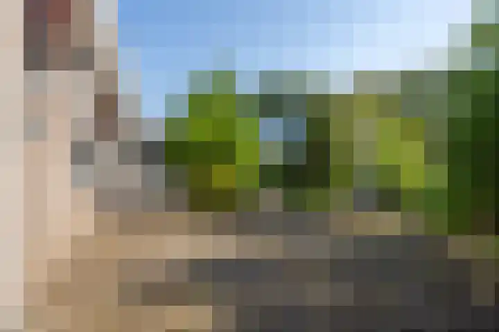 Dreef 25 Beverwijk thumbnail 21