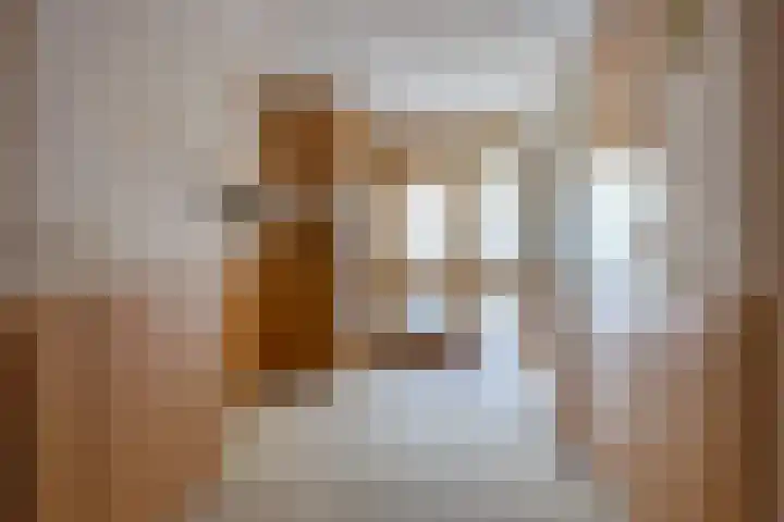 Dreef 25 Beverwijk thumbnail 22