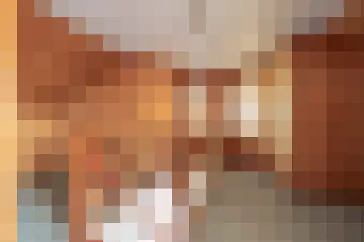 Dreef 25 Beverwijk thumbnail 25