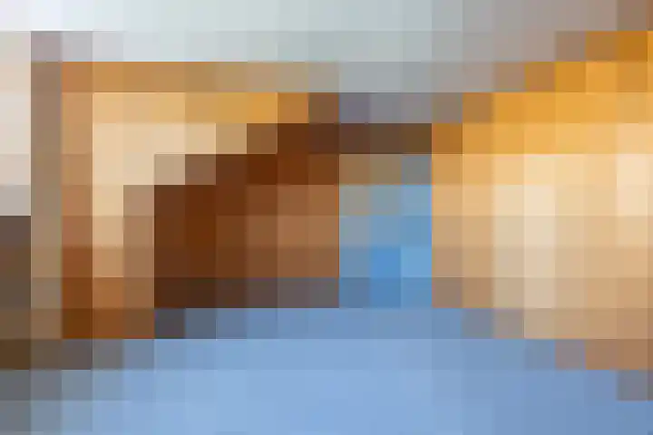 Dreef 25 Beverwijk thumbnail 28