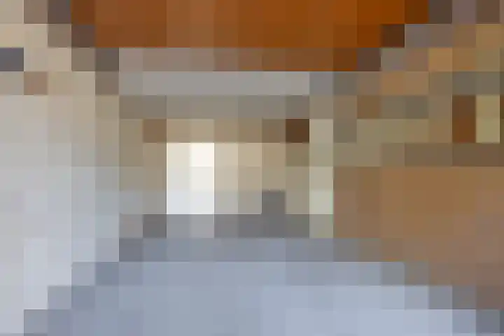Dreef 25 Beverwijk thumbnail 31