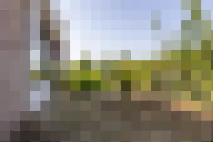 Dreef 25 Beverwijk thumbnail 32
