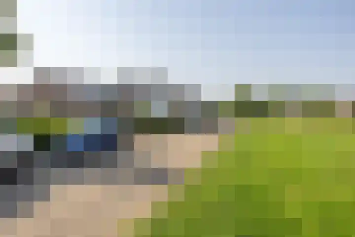 Dreef 25 Beverwijk thumbnail 33