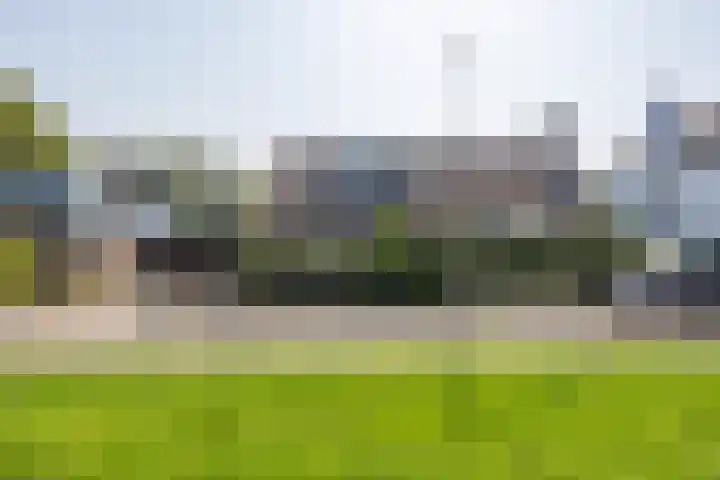 Dreef 25 Beverwijk thumbnail 34