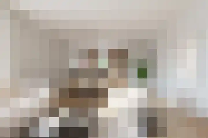 Dreef 25 Beverwijk thumbnail 6