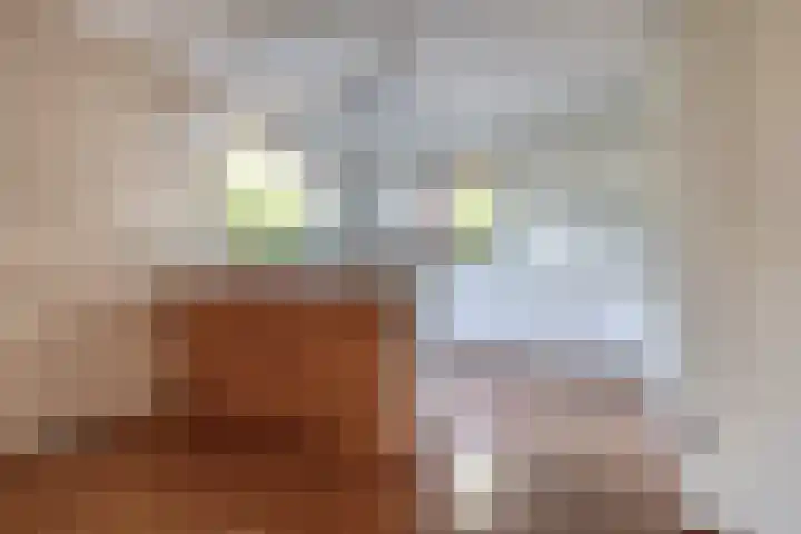 Dreef 25 Beverwijk thumbnail 7