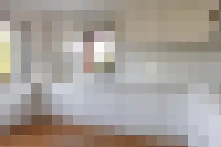 Dreef 25 Beverwijk thumbnail 8