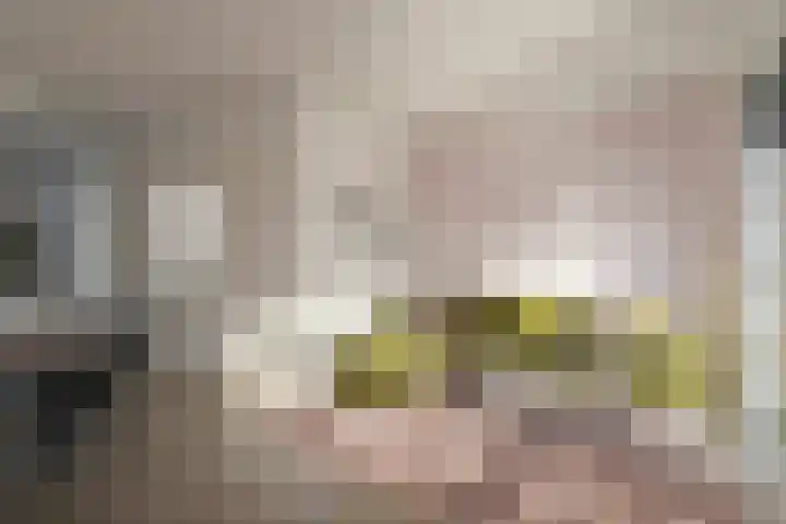 Dreef 26 Heusden thumbnail 16