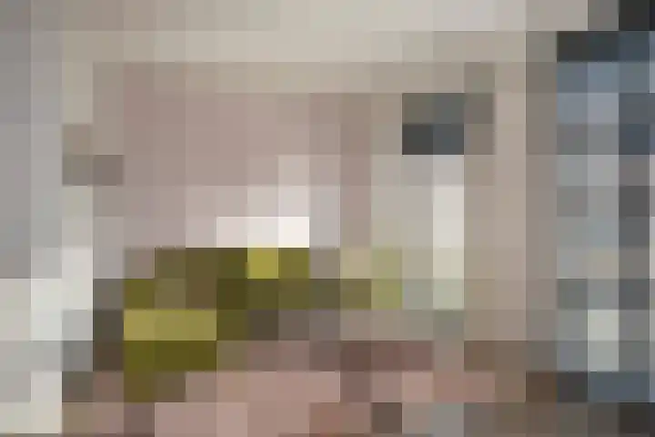 Dreef 26 Heusden thumbnail 17