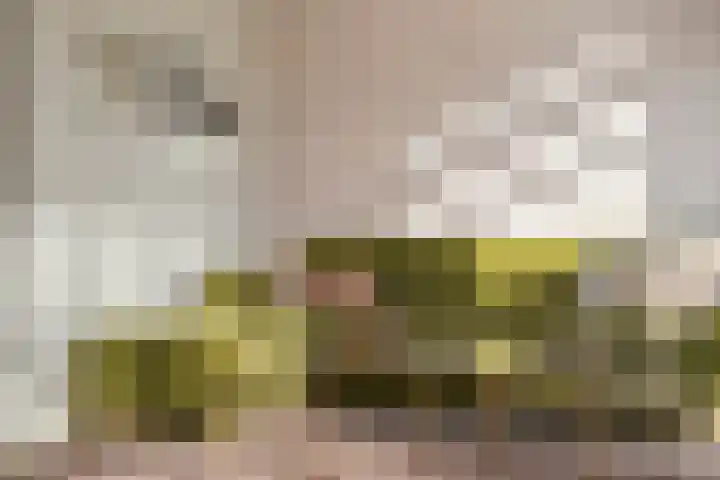 Dreef 26 Heusden thumbnail 18
