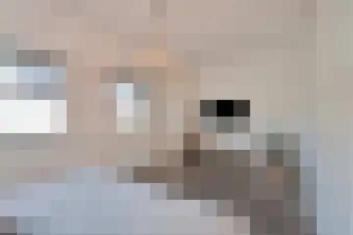 Dreef 26 Heusden thumbnail 21
