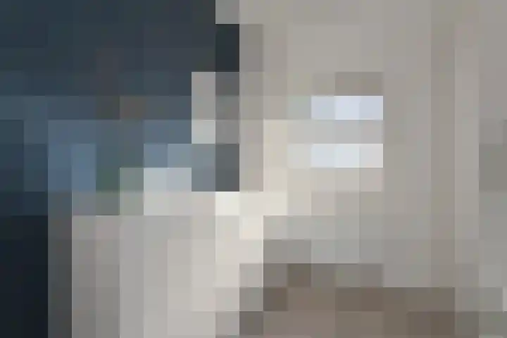 Dreef 26 Heusden thumbnail 23